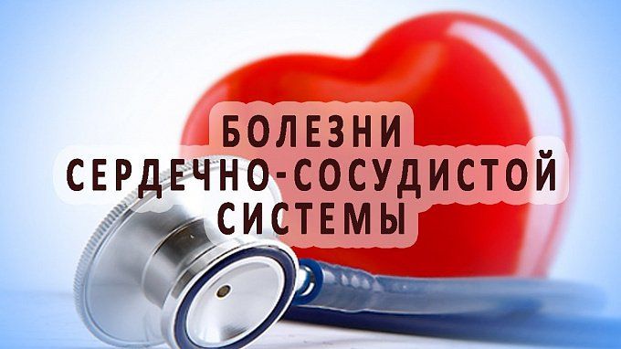 сердечно-сосудистая система